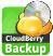 Купить CloudBerry Online Backup for Small Business Server