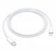 Apple Cable USB-C to Lightning (1m) MM0A3ZM/A