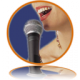 Siglos Karaoke Player/Recorder 2