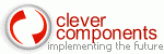 Компания Clever Components была образована группой высококвалифицированных специалистов, имеющих опыт работы в сфере информационных технологий более 5 лет. В своей работе специалисты компании используют такие программные платформы, как C# .NET, VB.NET, Delphi / Borland C++ / Interbase / MSSQL / MS Visual C++ / VB / ASP. Использование передовых технологий позволяет Clever Components воплотить в жизнь самые смелые идеи, создавать современные и многофункциональные компоненты.
В октябре 2001 года была выпущена первая версия библиотеки Интернет-компонентов, Clever Internet Suite. В августе 2004 — первая .NET версия Интернет-компонентов. Разработки в области Баз данных представлены линейкой продуктов Database Comparer, которая включает в себя компоненты для Delphi и отдельную самостоятельную утилиту. 