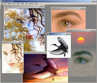 Коллаж из фотографий с AKVIS Chameleon