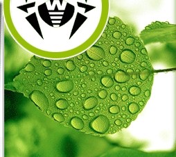 «На вилы заразу вирусную!» – конкурс от компании «Доктор Веб»