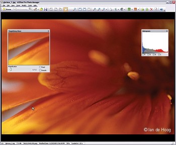 Новинка для фотографов: ACDSee Pro Photo Manager 3.0!