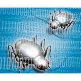 Microsoft предупреждает о появлении нового компьютерного червя