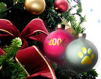 График работы Allsoft.ru в новогодние праздники