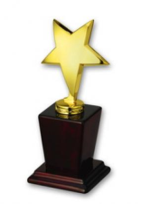 Allsoft.ru занял первое место в рейтинге IT-компаний Москвы 2010 года