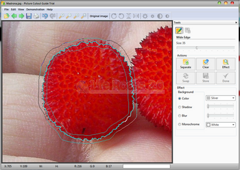 Picture Cutout Lite – удаление фона с цифровых фотоснимков