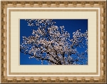 ART Frames 1.15 - рамки и маски для фотографий