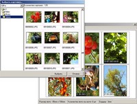 Новая версия программы Photo Print 1.6