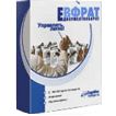 Обновленная версия «ЕВФРАТ-Документооборот» - система электронного документооборота и автоматизации делопроизводства