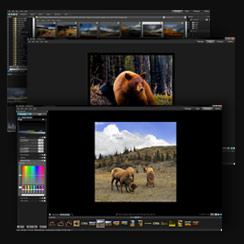 ACDSee Pro 3 – бета-тестирование началось