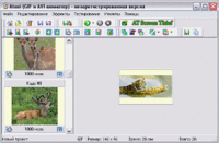 Atani 2.8: легкое создание анимированных GIF и AVI