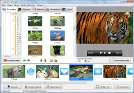 Слайд-шоу из фотографий с записью на DVD!