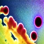 Ужасные выводы антивирусной лаборатории