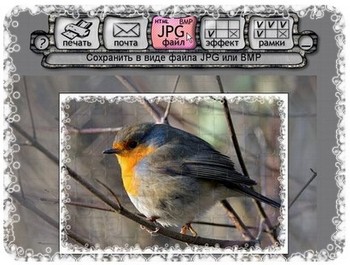 «Принто Моменто» удобная программа для оформления реферата и работы веб-мастеров