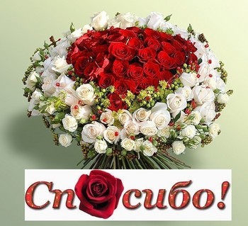 5 лет в Allsoft: поздравляем Максима, Олесю, Александру, Антона и Викторию!