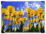Эффектное обрамление краев фото в новой Photo Frames Эффектное обрамление краев фото в новой Photo Frames