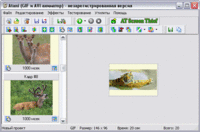 Релиз русскоязычной версии Atani - программы для создания анимированных GIF и AVI