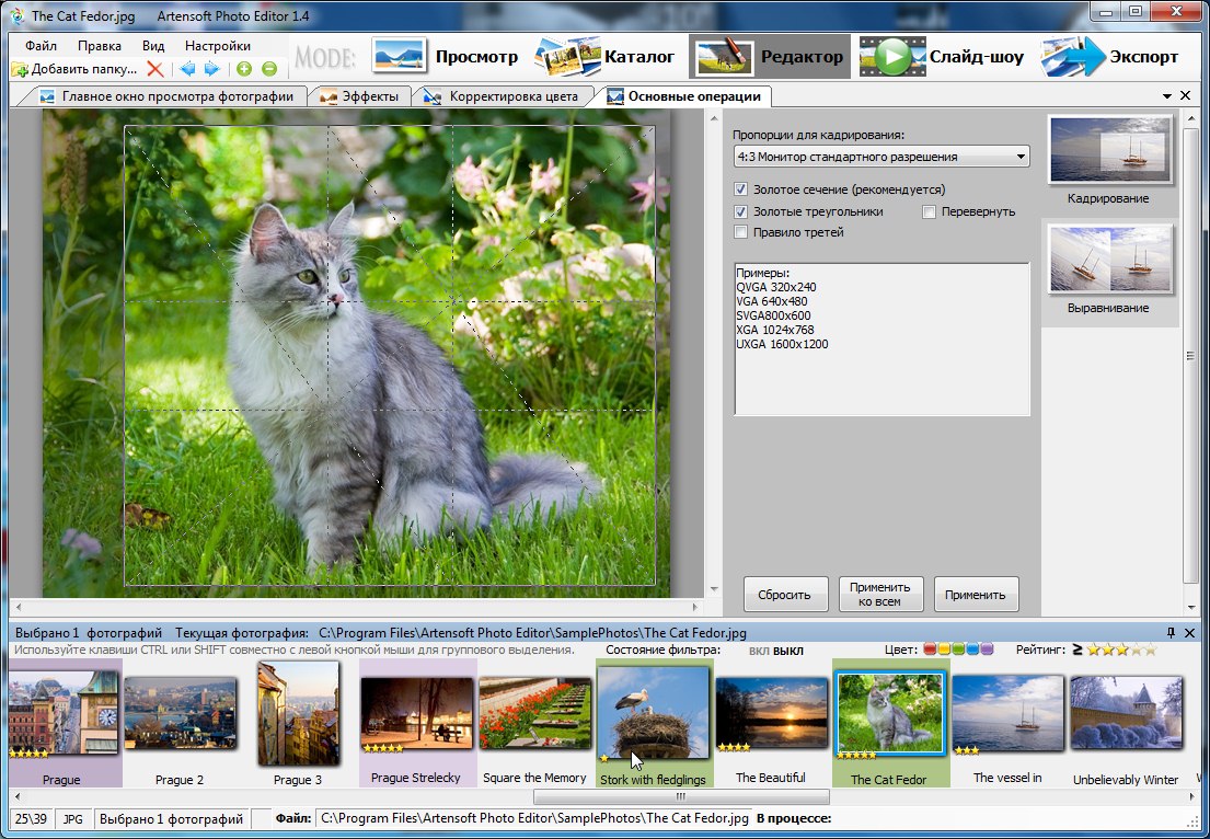 03b image processing crop.jpg