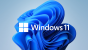 Windows 11 Professional GetGenuine Agreement (GGWA)