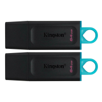 Флешка Kingston DataTraveler Exodia 64Gb
