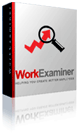 Work Examiner Standard EfficientLab, LLC.