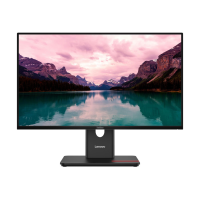 Монитор LENOVO T24-40 черный