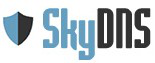 Корпоративный web-фильтр SkyDNS Business