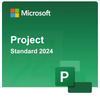 Купить Project Standard 2024