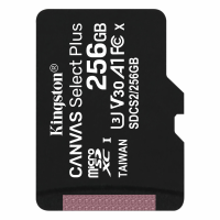 Карта памяти Kingston microSDXC Canvas Select Plus 256GB