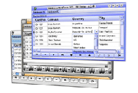 BusinessSkinForm VCL