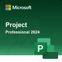 Microsoft Project Pro 2024