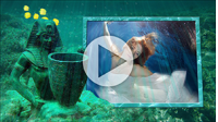 Шаблоны слайд-шоу «Подводный мир». Купить в allsoft.ru