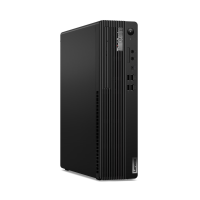 МиниПК LENOVO ThinkCentre M70s Gen 4, 12DT0009RU