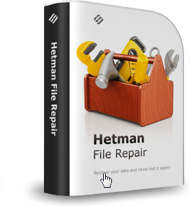 Hetman File Repair (исправление битых файлов) Hetman Software