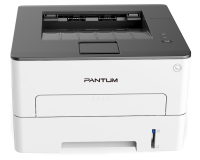 PANTUM P3010D