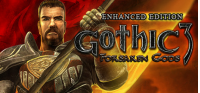 Купить Gothic 3: Forsaken Gods Enhanced Edition