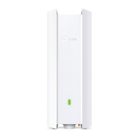 Точка доступа TP-LINK EAP650-Outdoor