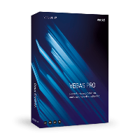 VEGAS Pro 17 (электронная версия)