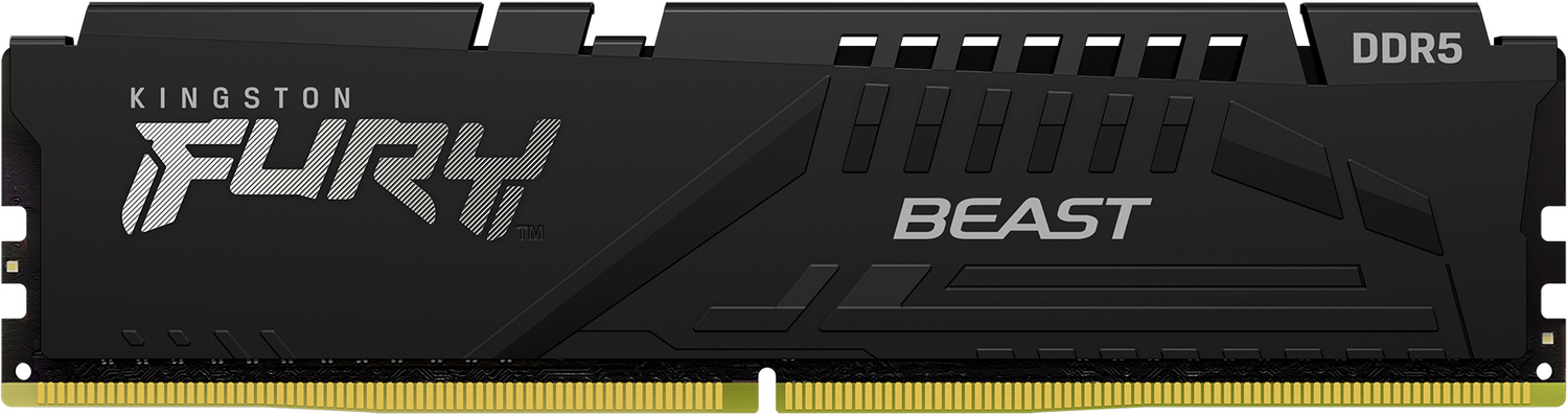 Оперативная память Kingston FURY Beast Black KF548C38BB-8, RTL