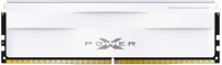 Оперативная память Silicon Power DDR5  16GB, SP016GXLWU560FSG