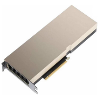 Видеокарта NVIDIA Tesla A100 80 &Gamma;Б