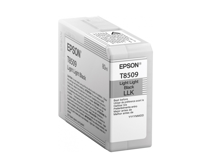 

Картридж светло-серый Epson C13T850900