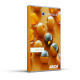 CINEMA 4D Studio