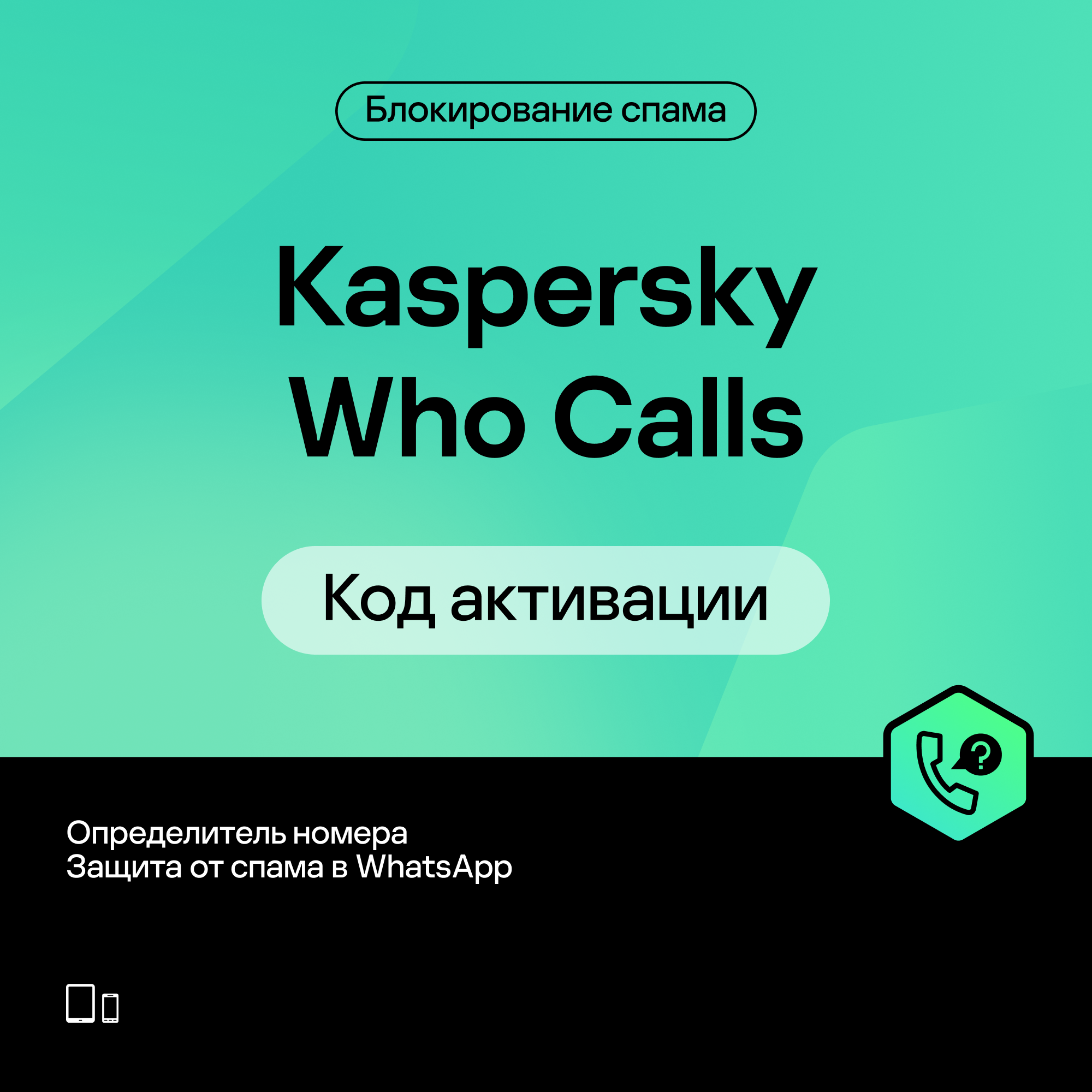 Kaspersky Who Calls Premium 952₽