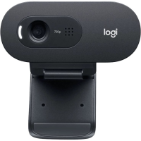 Вебкамера Logitech C505e