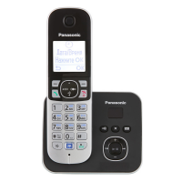 Радиотелефон Panasonic TG6821, 1 трубка , автоответчик