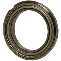 Шариковый подшипник (ball bearing) Ricoh  AE030099