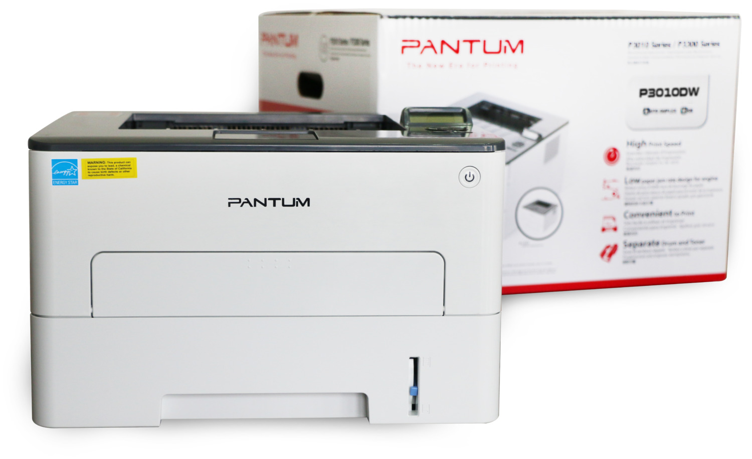 Принтер Принтер PANTUM P3010DW