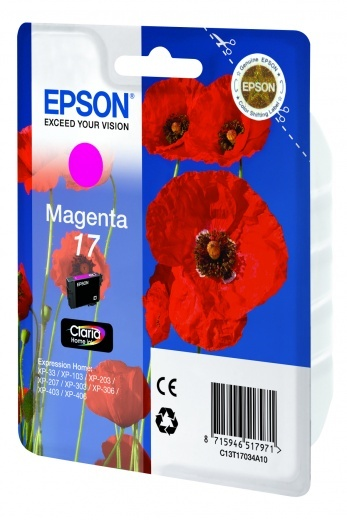 

Картридж пурпурный Epson C13T17034A10